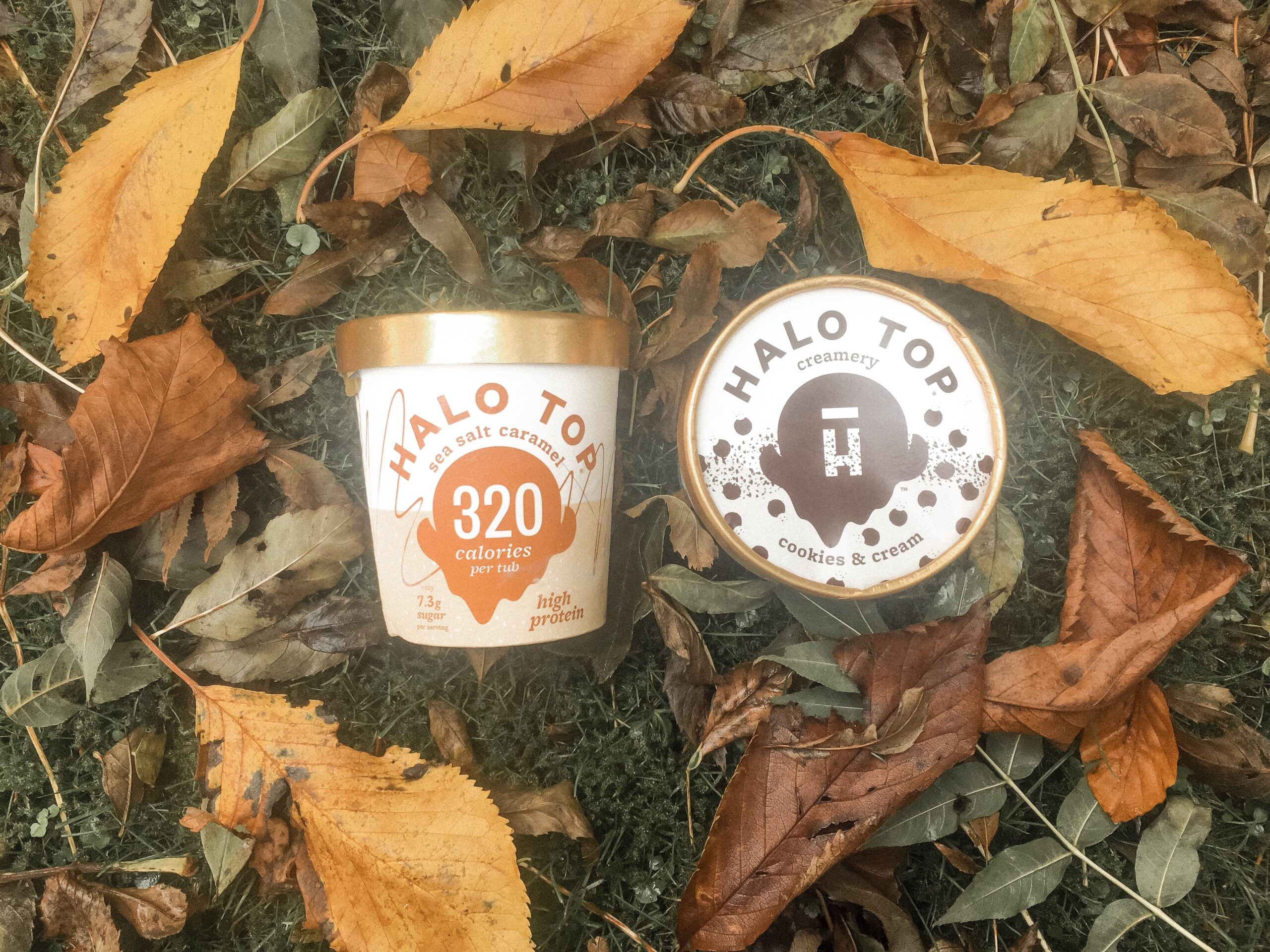 Halo Top Ice Cream